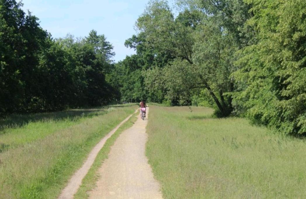 Spreewald Ferienwohnung Noack Lübben Buitenkant foto