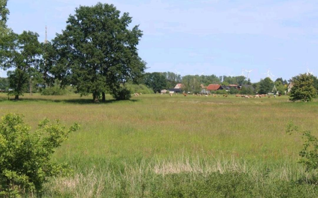 Spreewald Ferienwohnung Noack Lübben Buitenkant foto