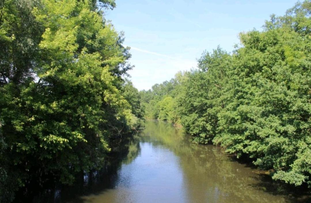 Spreewald Ferienwohnung Noack Lübben Buitenkant foto