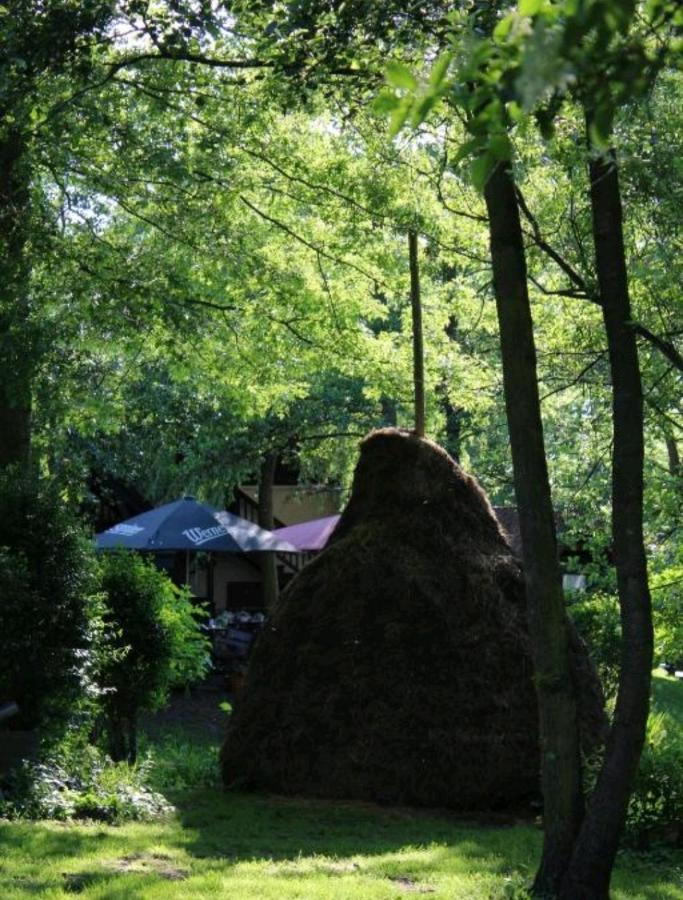 Spreewald Ferienwohnung Noack Lübben Buitenkant foto